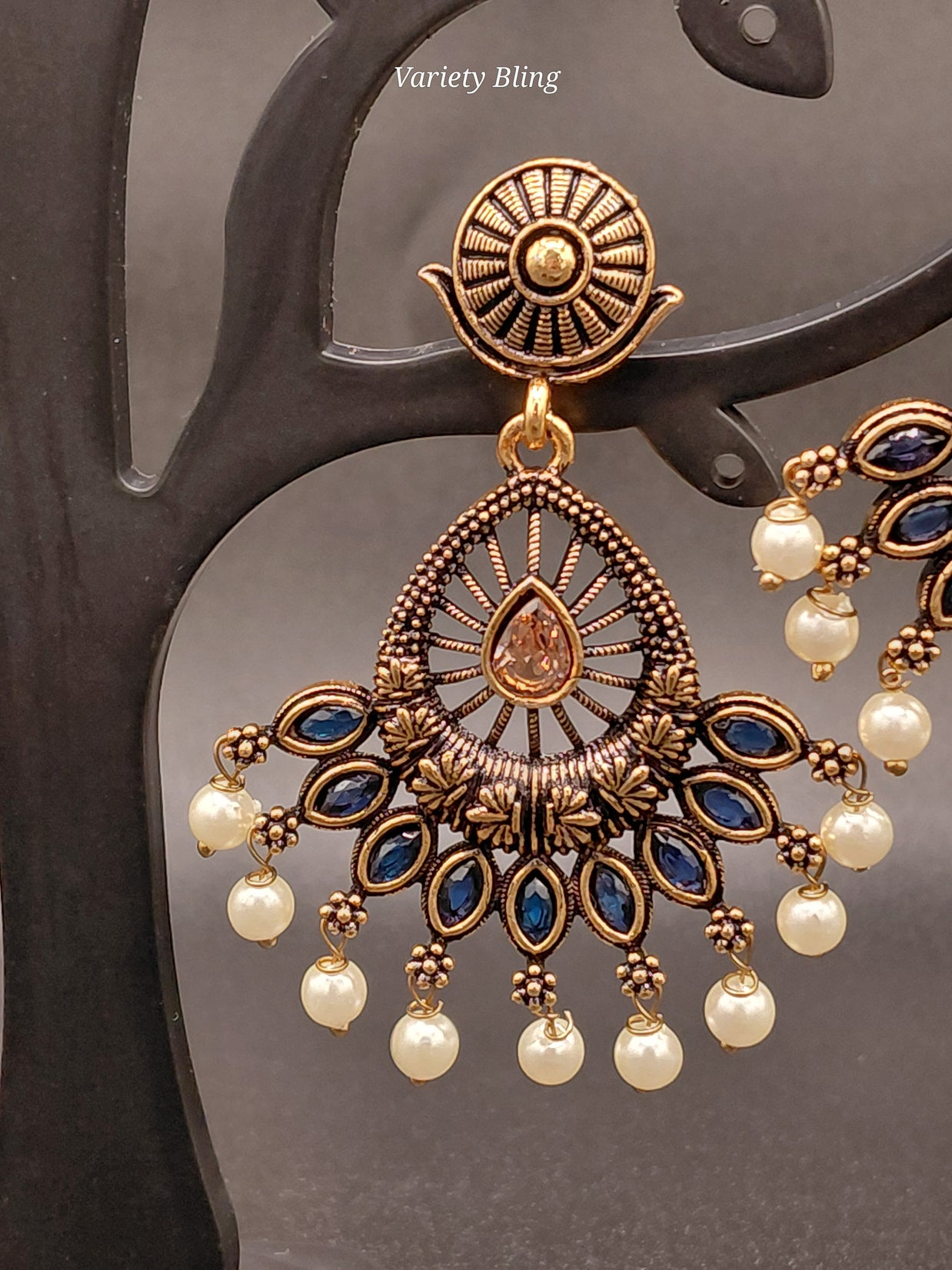 Fancy Peacock Feather Earring