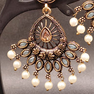 Fancy Peacock Feather Earring