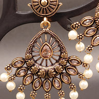 Fancy Peacock Feather Earring