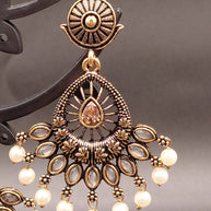 Fancy Peacock Feather Earring