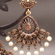 Fancy Peacock Feather Earring