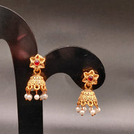 Mop Mango Choker Set